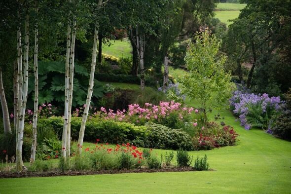 Дивный сад Maple Glen в Новой Зеландии