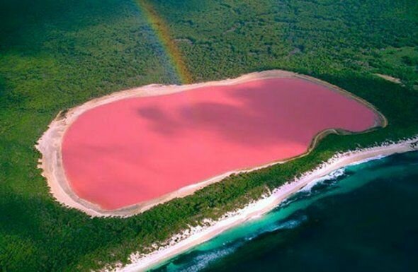 Озеро Хиллер – розовое чудо Австралии